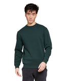 Lane Seven-LS14004-Premium Crewneck Sweatshirt-SPORT GREEN
